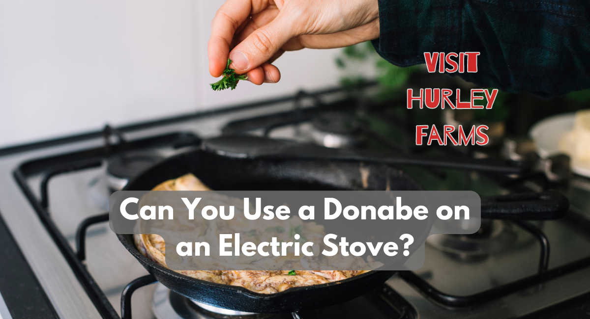 Can You Use a Donabe on an Electric Stove